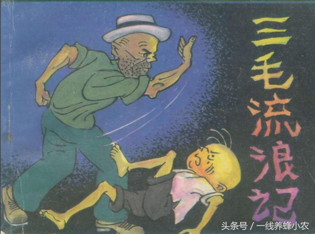 上海三毛最新動(dòng)態(tài)，自然美景探索之旅啟幕