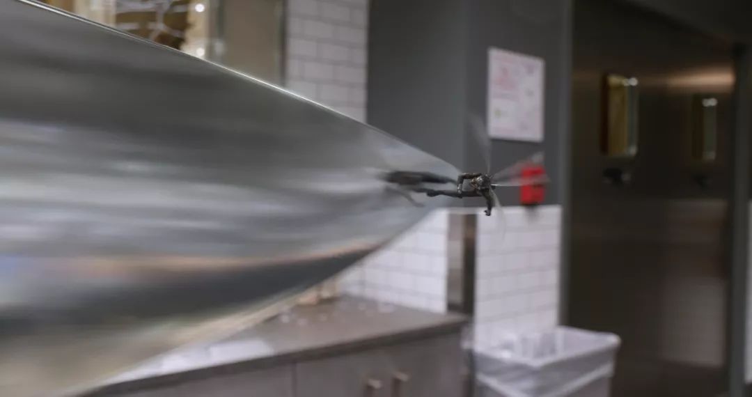 最新電泳技術(shù)，一路向前，學(xué)習成就自信之源