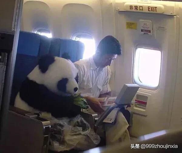 追逐變化之翼，學(xué)習鑄就自信與成就——虛幻最新探討