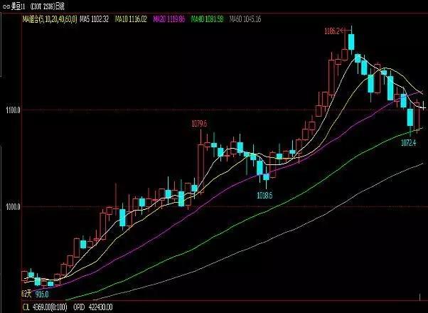 豆油最新行情概覽，市場(chǎng)走勢分析與未來(lái)展望
