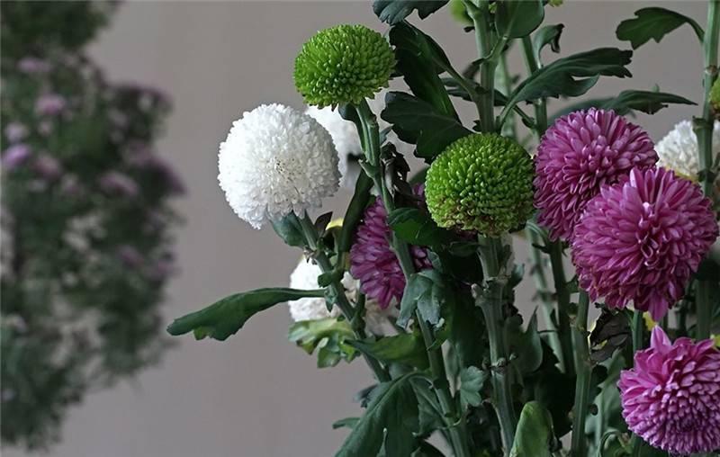 最新娛樂(lè )頭條，躍上成功舞臺的魔力之旅，自信與成就感的碰撞