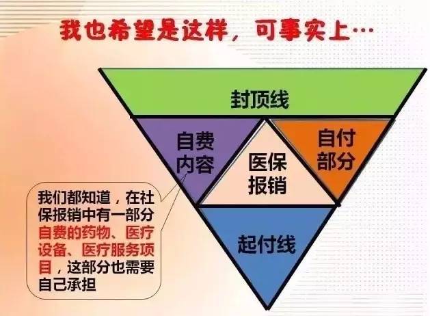 最新社保V型圖步驟指南詳解