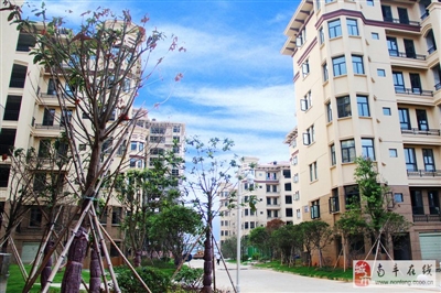 江西南豐最新房?jì)r(jià)分析與探討