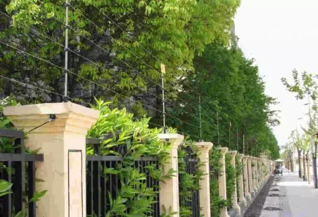 山河藥輔最新動(dòng)態(tài)，引領(lǐng)醫藥行業(yè)新篇章