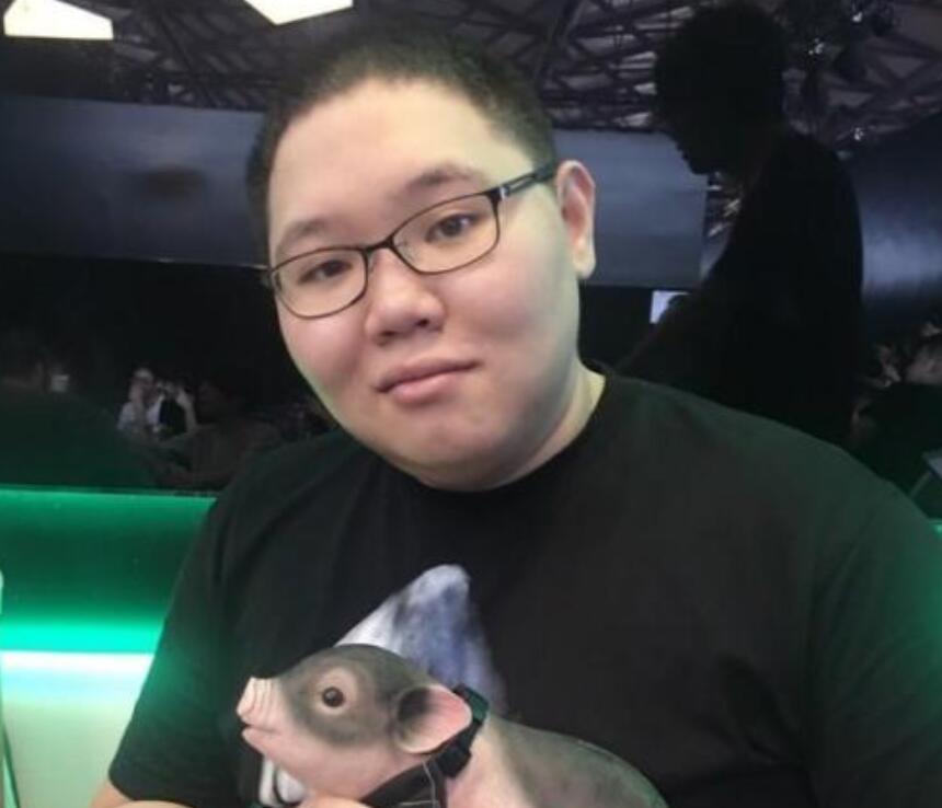 PDD最新直播視頻，直播界的璀璨明星閃耀時(shí)刻