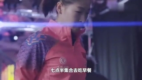 笑斯人最新視頻，日常趣事與友情的紐帶展現！