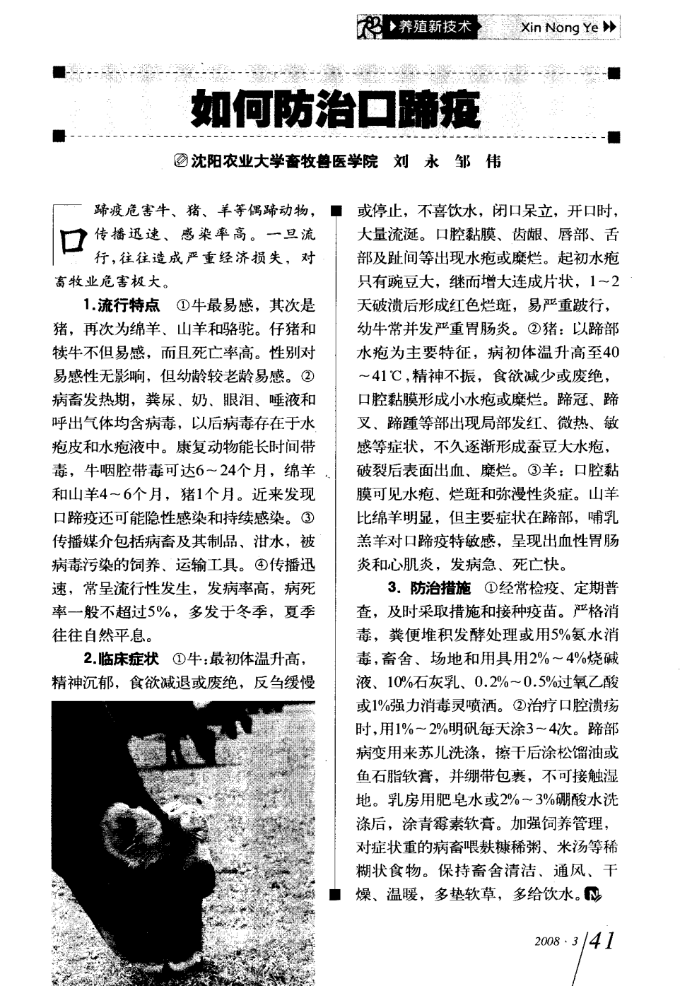 口蹄疫最新科研，自然探險與內心平和的追尋之旅