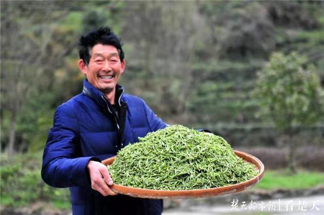 最新夷陵新聞，探索自然美景的旅程，尋覓內心平和之地