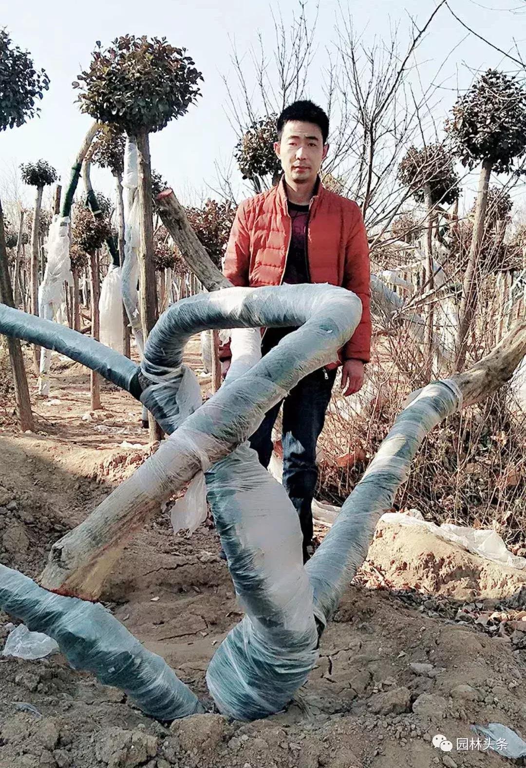 定州最新急招工，時(shí)代的呼喚與行業(yè)重塑的挑戰