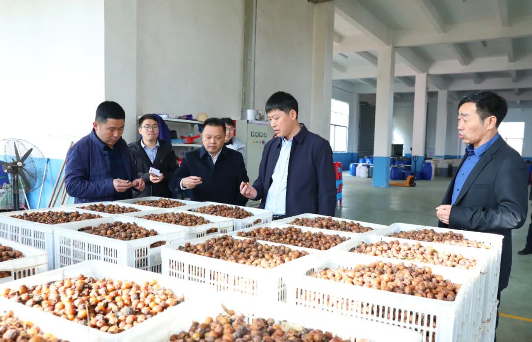 建寧最新新聞，城市溫馨日常與友情力量的展現