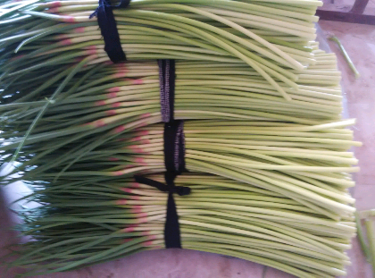 運動(dòng)場(chǎng)館燈具 第101頁(yè)