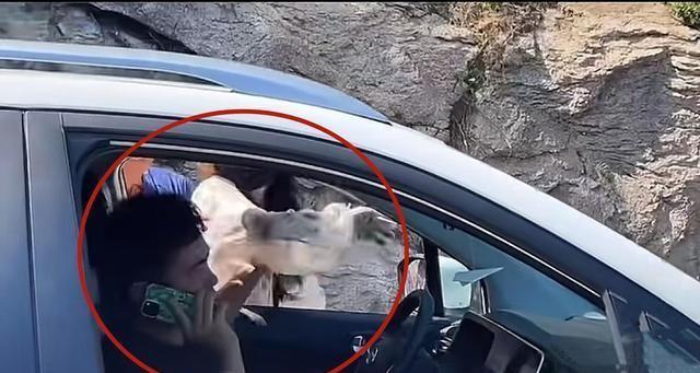 奔馳最新廣告，小明的溫情之旅啟程了