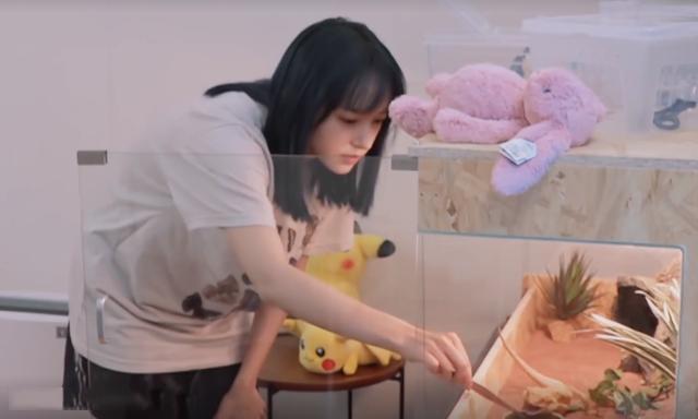 程瀟最新綜藝節目，心動(dòng)瞬間，不容錯過(guò)！?