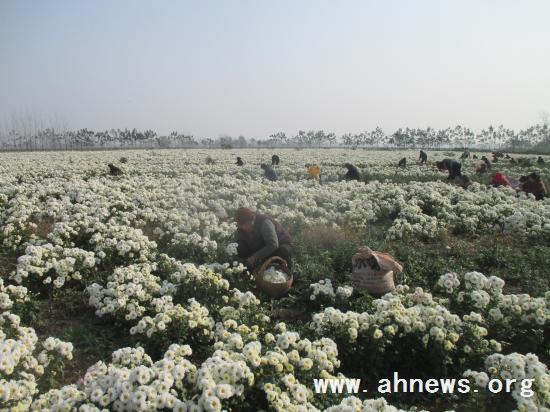 界首最新新聞，學(xué)習變革的力量，自信與成就感的融合之路