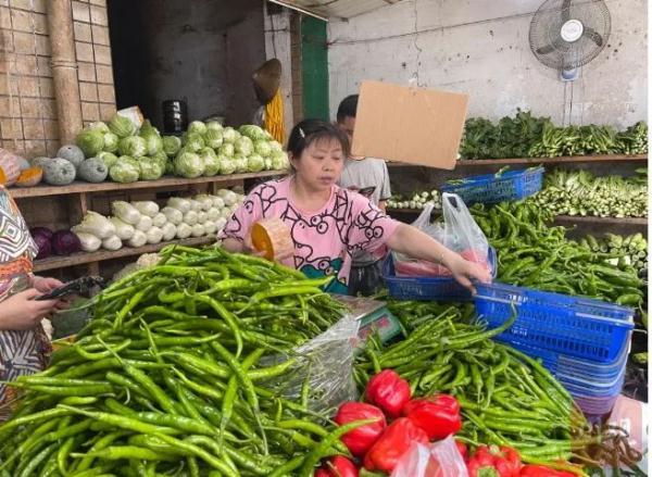 小蔥價(jià)格最新行情及分析報告