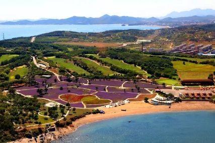 心悅海島探險攻略，最新任務(wù)指南與探險體驗