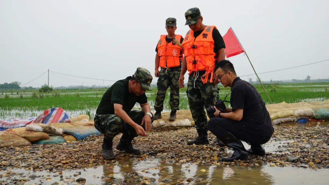 永修最新聞，背景探尋與時(shí)代地位的重要事件回顧
