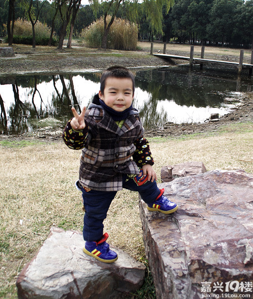 小六最新，時(shí)代背景下的重要印記與事件回顧