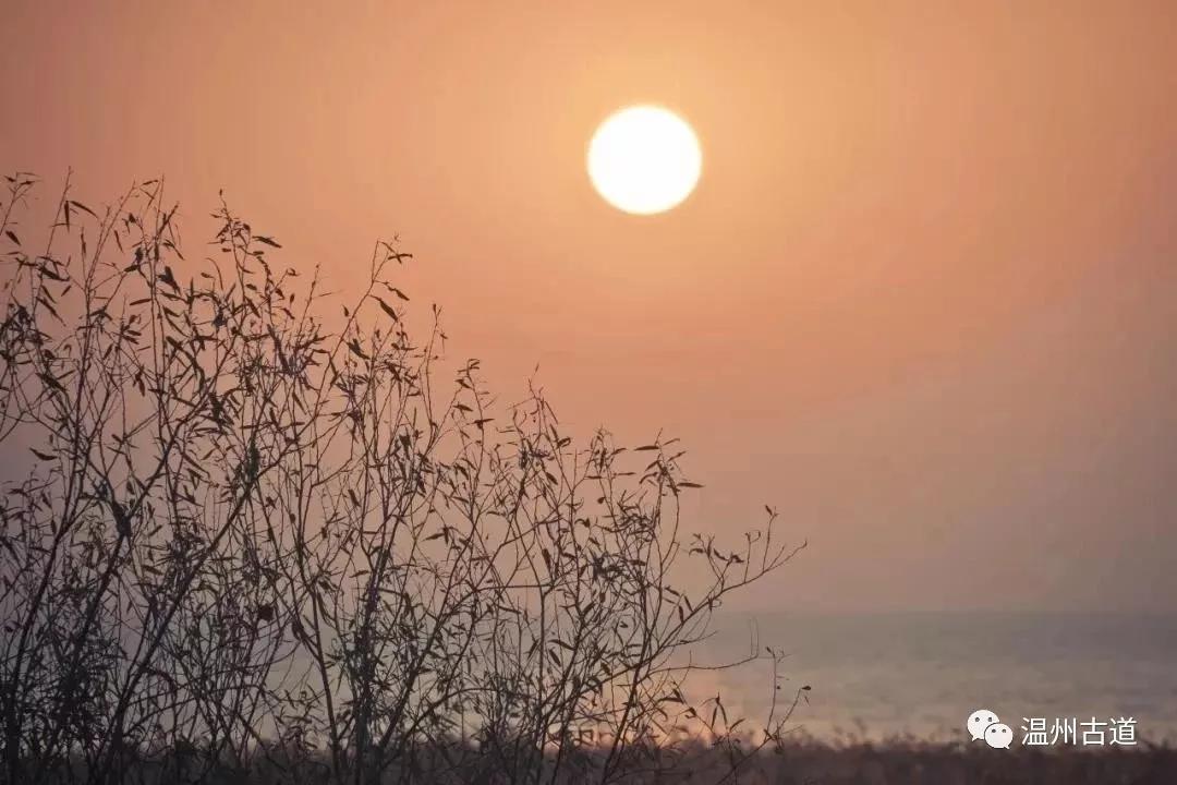 最新瘟疫詩(shī)詞，時(shí)代之聲與人文關(guān)懷的交融展現