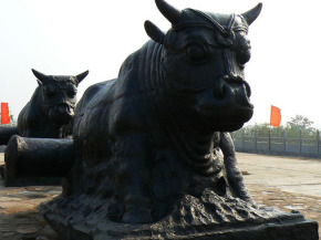 鐵牛視頻最新精彩呈現，領(lǐng)略與眾不同的世界！