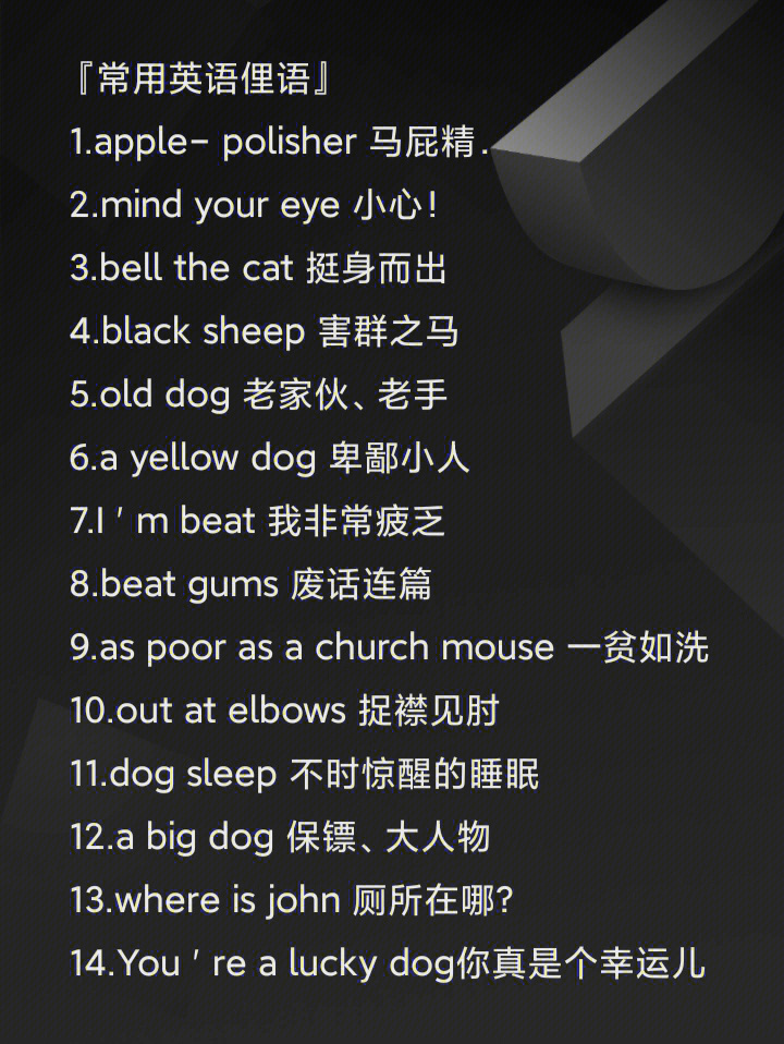 英文最新俚語(yǔ)揭秘，小巷秘密小店的潮流詞匯