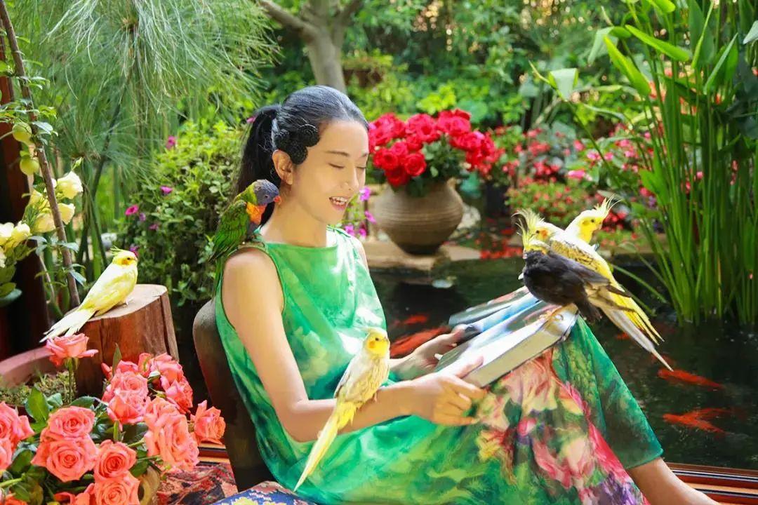 昆明最新舞蹈，文化現象的深度探討