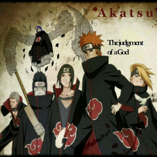 曉組織最新動(dòng)態(tài)揭秘，探究其發(fā)展與影響