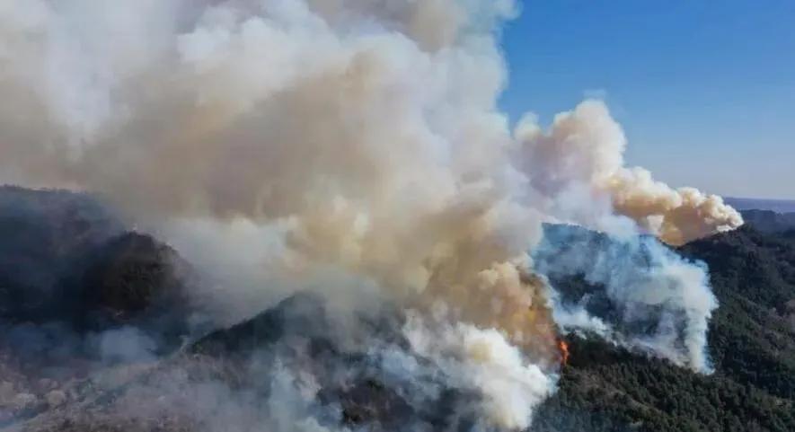 榆社山火防控指南，從初學(xué)者到進(jìn)階用戶(hù)的全步驟學(xué)習與防火任務(wù)實(shí)踐