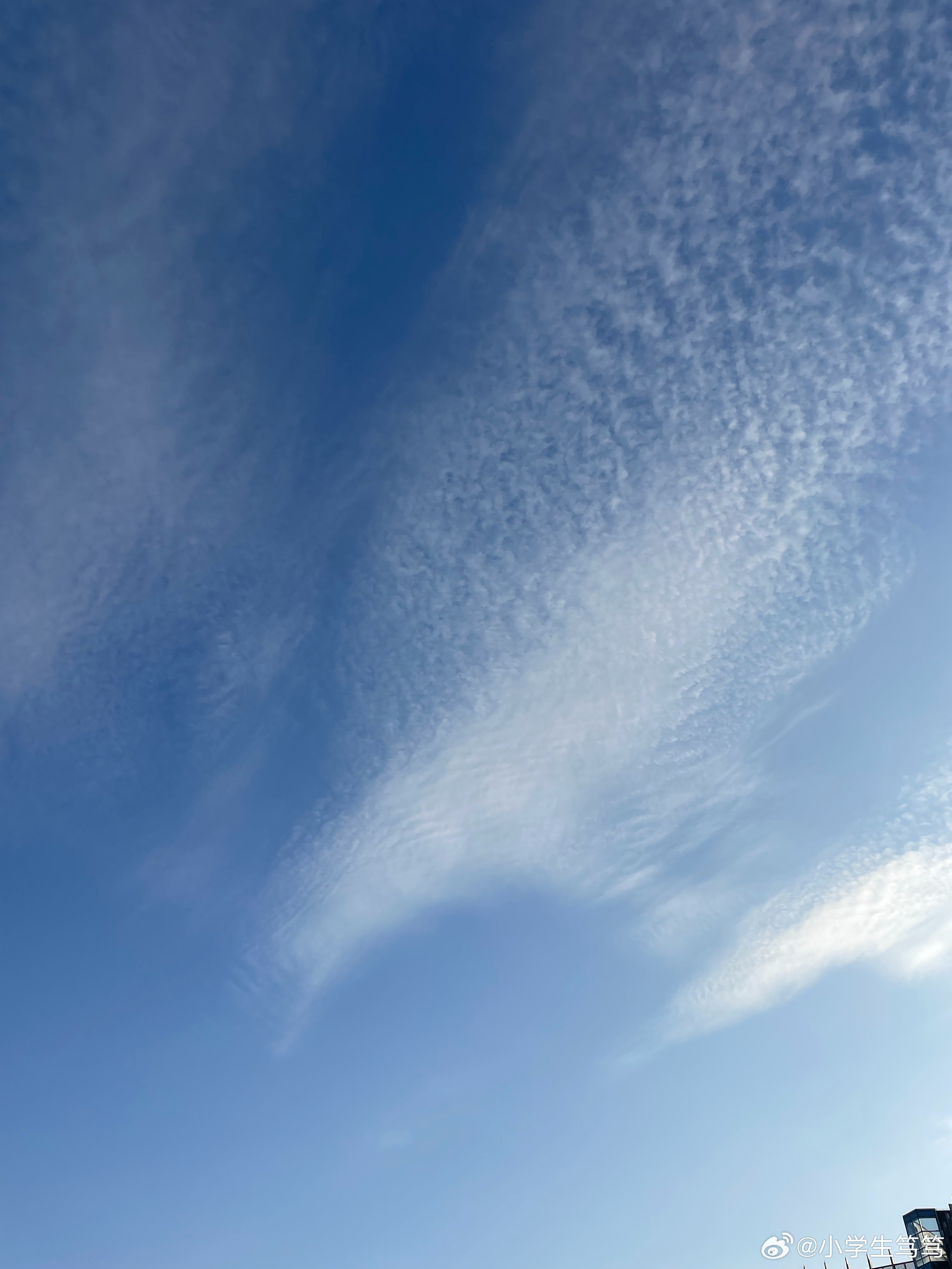 云飄飄最新，小巷深處的獨特風(fēng)味美食體驗