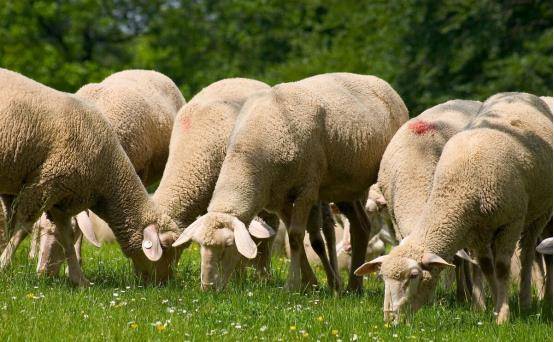 工程廠(chǎng)房燈具 第76頁(yè)