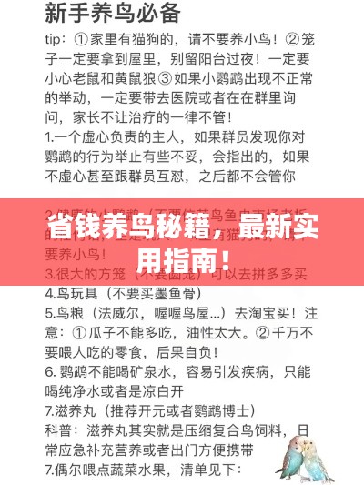 最新養鳥(niǎo)法規解析，觀(guān)點(diǎn)闡述與深度探討