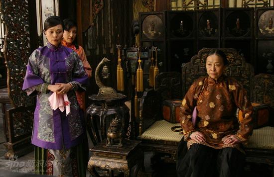 鐵梨花最新更新，日常生活中的趣事與情感紐帶