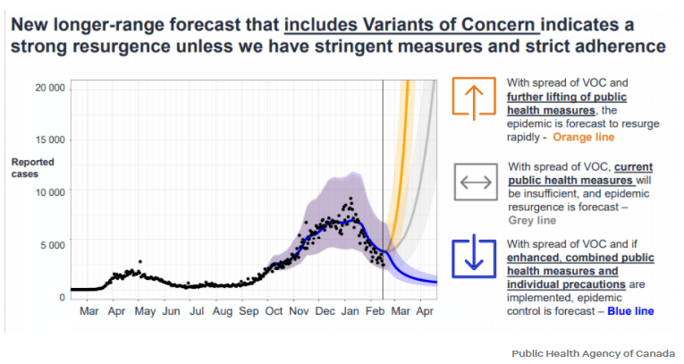 約克最新疫情動(dòng)態(tài)，學(xué)習變化中的自信與成就力量