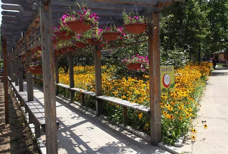 月牙灣最新深度闡述觀(guān)點(diǎn)解析