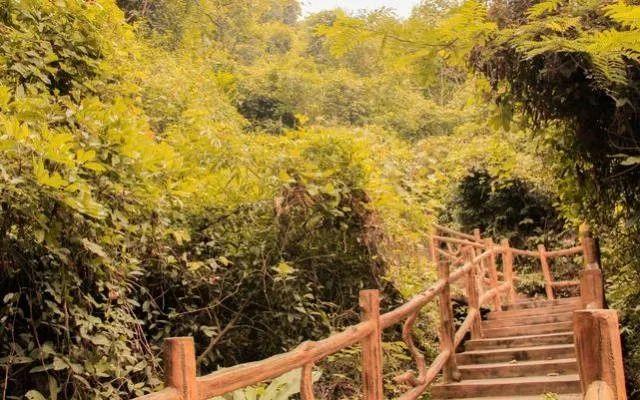 運動(dòng)場(chǎng)館燈具 第68頁(yè)