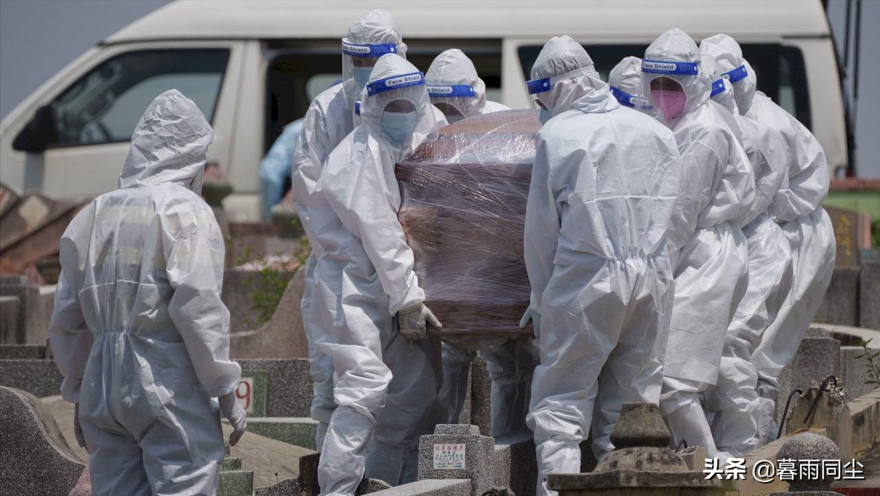 最新疫病統計步驟指南與最新統計更新