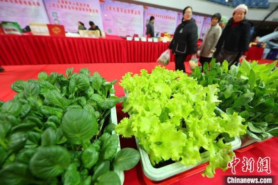 南京最新蔬菜，時(shí)代味道與文化脈絡(luò )的融合