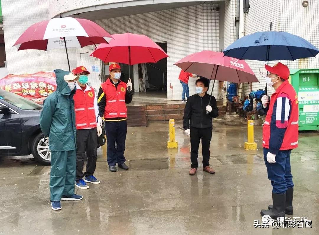 石碣最新疫情動(dòng)態(tài)，變化中的學(xué)習，鑄就未來(lái)力量