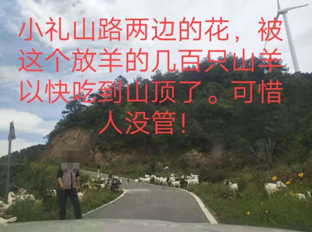 大悟最新路，探索未知，自信成就夢(mèng)想之旅的啟程