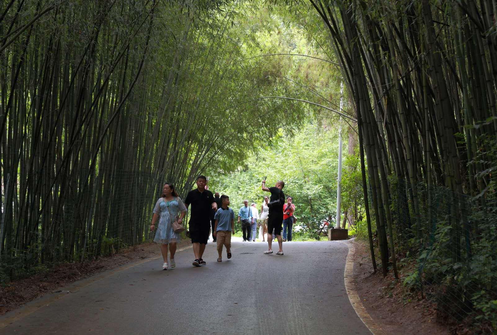 全家最新優(yōu)惠攻略，一步步教你享受最大優(yōu)惠折扣！