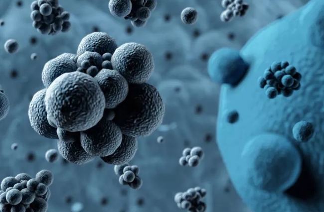 病毒擴散最新情況，自然探險之旅尋求內心平和之地