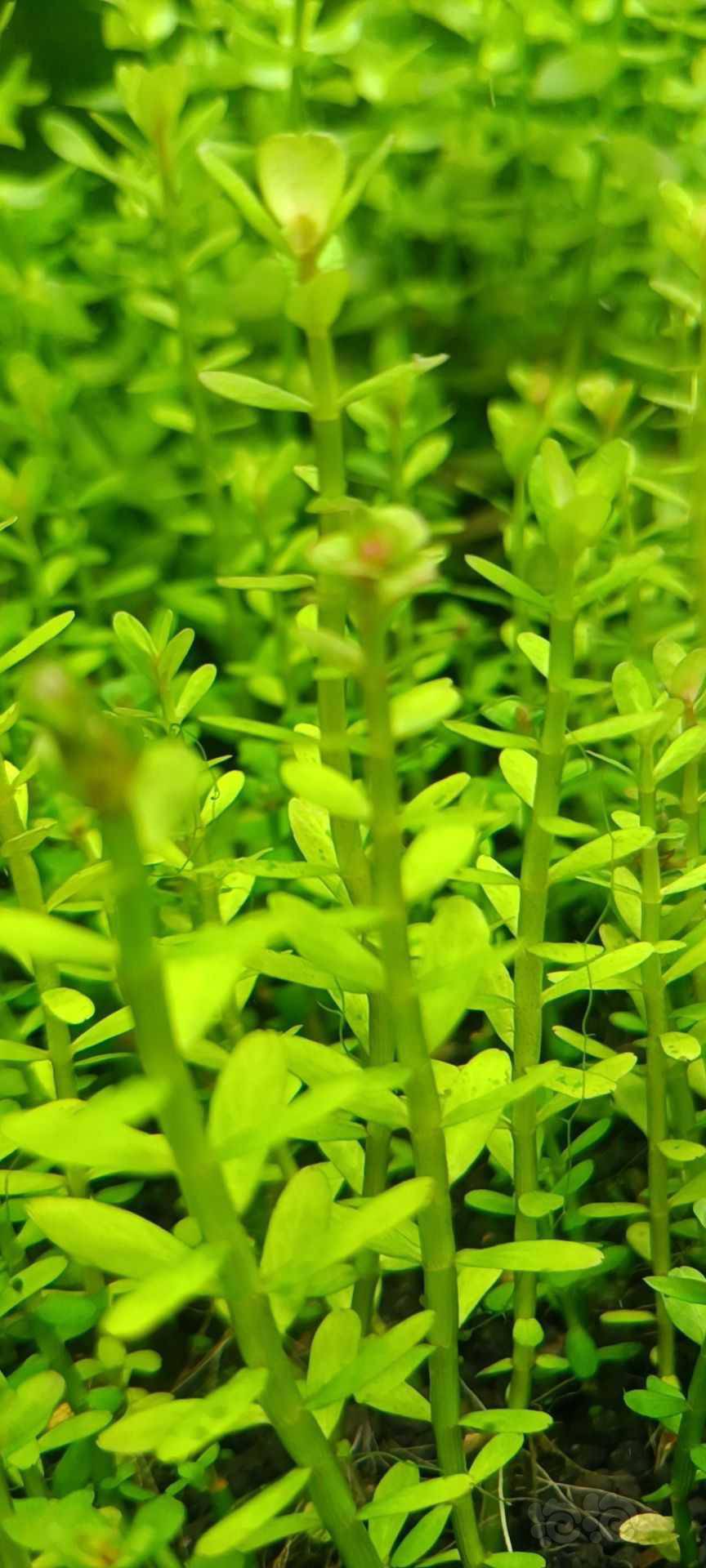 最新福利草草，自然美景之旅，探尋內心平和與喜悅的旅程