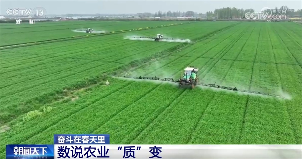 最新農業(yè)農村發(fā)展，播種希望，收獲自信與成就感