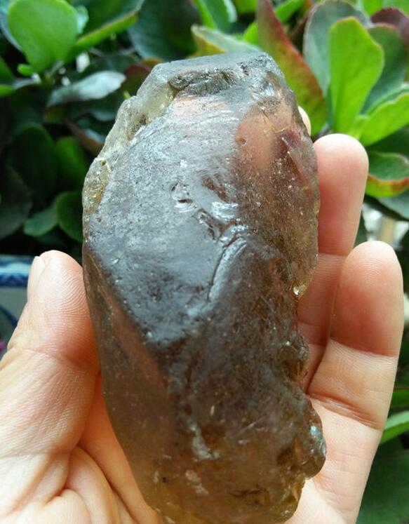 最新鑒定法，揭示友情的印記與家的溫馨