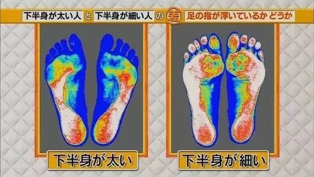 最新地趾論述，探索、爭議與觀(guān)點(diǎn)綜述