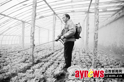 最新農藥抽檢結果出爐，守護農田安全，你我他的共同責任