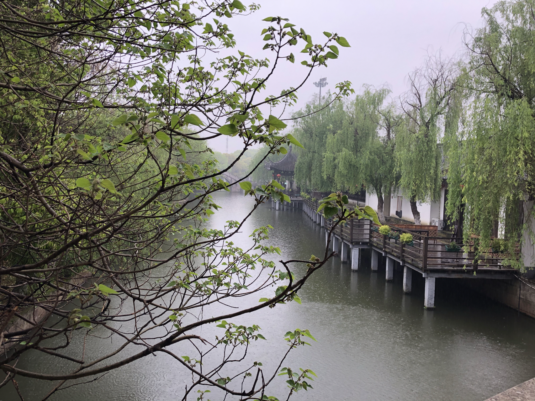 江南煙雨最新，自信與成就感的成長(cháng)之旅