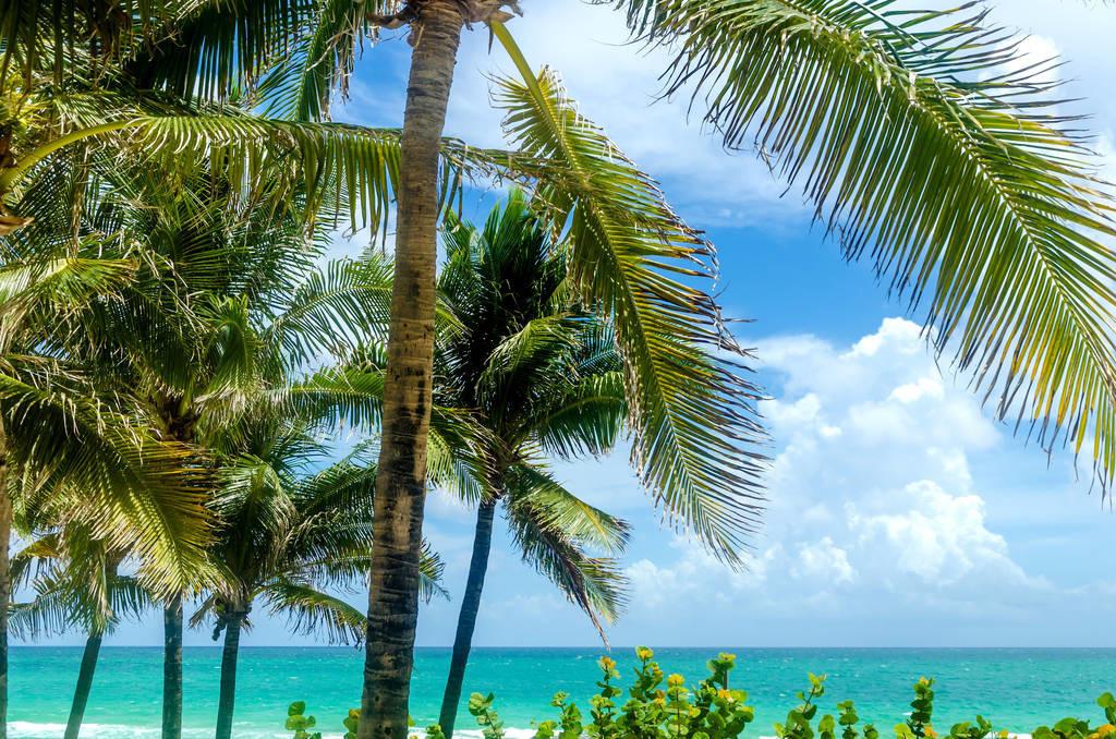 科技重塑旅行體驗，最新付費機場(chǎng)概覽