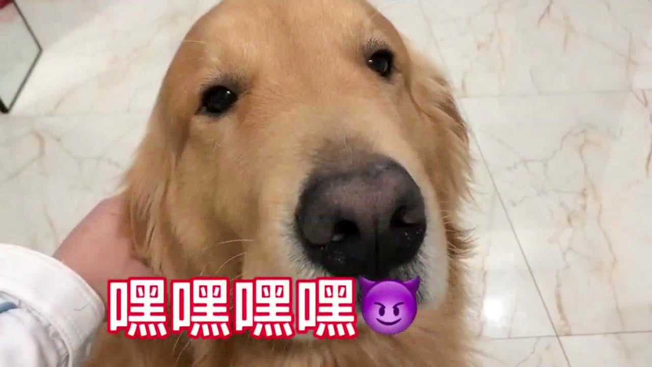 工程廠(chǎng)房燈具 第58頁(yè)