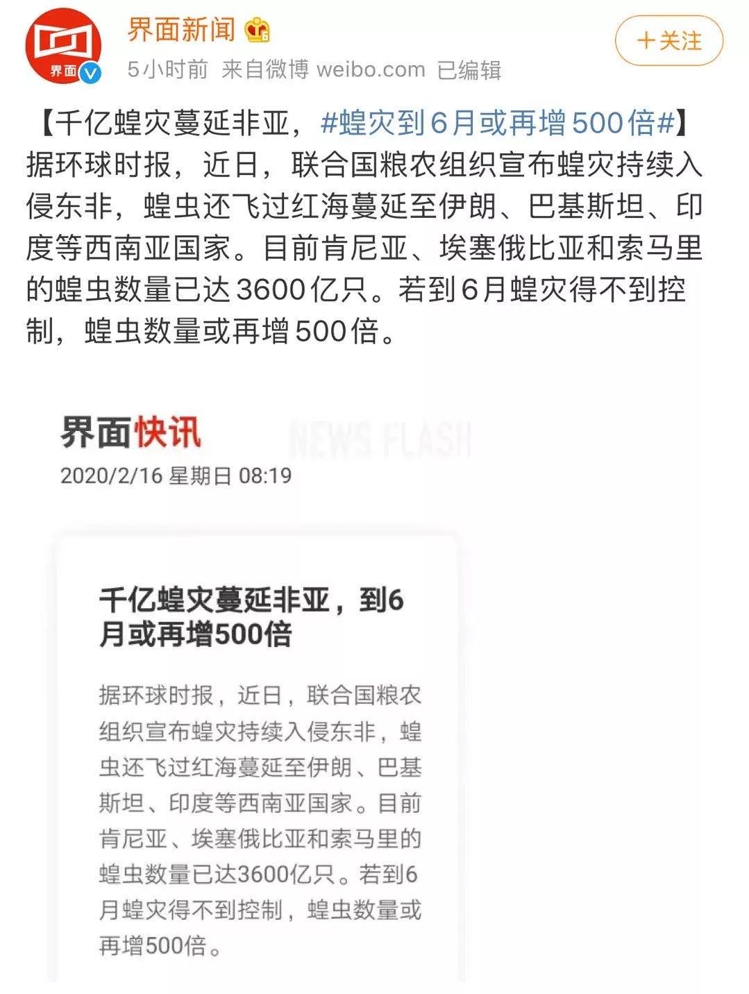 世界蝗災最新動(dòng)態(tài)，探索自然美景的輕松之旅